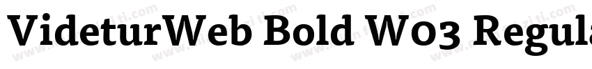 VideturWeb Bold W03 Regular字体转换 VideturWeb Bold W03 Regular字体转换